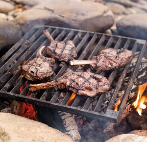 Grilled Venison Chops