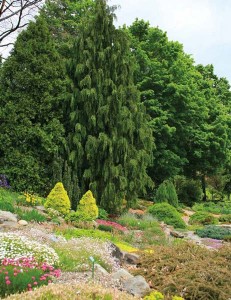 Garden3