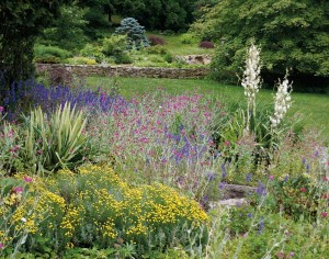 Garden5