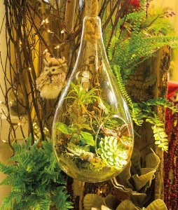 A hanging, tear-shaped glass vessel that’s filled with tropicals, air plants and succulents, is the newest option for creating terrariums.