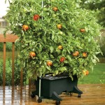 EarthBox® gardening system