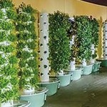 Tower Garden® aeroponic technology