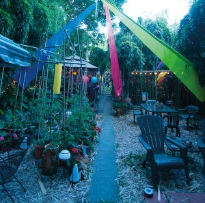 The center of the backyard is dedicated to growing vegetables and herbs in containers. The colorful flags are a memento of a vacation in California.