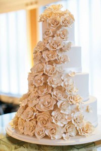 Paul-Anne-Married-Lancaster-County-Magazine-0028
