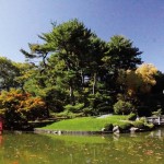 Brooklyn Botanic Garden