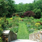 Chanticleer