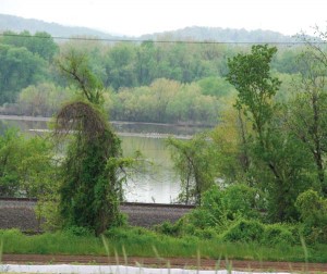 Mud flats on the Susquehanna River at Washington Boro