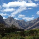 Oldenburg Vineyards