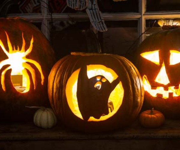 Reception decorations were created at pre-wedding pumpkin-carving parties. Guests were invited to take the décor – pumpkins, gourds, potted mums – home with them.