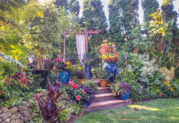 When Tim moved to his home, the tree-filled backyard was barren of flower beds and other landscaping. Tim eliminated some of the trees, installed living privacy screens and set to work creating beds, stone walkways, ponds and other areas of interest.
