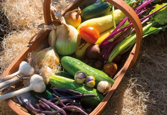 The makings for dinner are gathered early in the morning.