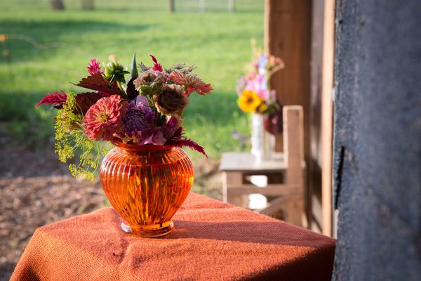 Farmacy_0089