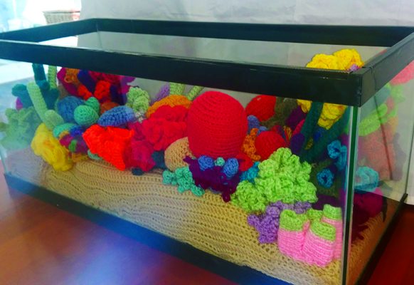 coral-reef-1