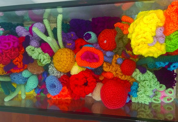 coral-reef-3