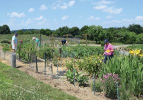 Pleasant View Communities
